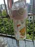 膳魔师（THERMOS）BEBE联名水杯儿童6-12岁上学专用PPSU耐高温夏季背带水壶480ml粉 实拍图