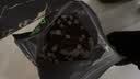 醇粹黑标猫粮 全价无谷鲜肉冻干猫粮成猫幼猫益生菌肠胃猫干粮5kg10斤 实拍图