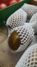 佳沛（zespri）新西兰阳光金奇异果10粒巨大果单果146-175g 猕猴桃水果礼盒 实拍图