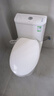 九牧（JOMOO）11173-2-1/31KD-3大力神家用马桶虹吸抗菌节水洁具305坑距 实拍图