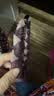 烨翡俪紫色网纱麻花发箍女高颅顶带齿防滑压发头箍洗脸发饰高级感头饰 实拍图