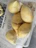 京鲜生 进口金枕头鲜榴莲 3-4斤 1个装  新鲜水果 生鲜七夕情人节礼物 实拍图