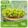 京鲜生 阳光玫瑰青提净重2.8-3.3斤装单果10g+葡萄/提子源头直发 实拍图