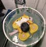 索迪婴儿游泳桶可折叠洗泡澡桶盆家用宝宝幼新生儿0-3岁周岁生日礼物 实拍图