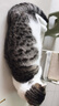 亿迪 猫粮冻干鸡肉全价成猫幼猫蓝猫英短橘猫加菲美短全阶段通用粮8斤 实拍图
