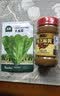 北蔬 孔雀菜种子苗生菜四季绿叶菜阳台种盆栽蔬菜种籽 孔雀菜种子10g 实拍图