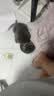 LEGENDSANDY蓝氏 全价猫粮成猫幼猫生骨肉冻干粮 猎鸟乳鸽系列兔肉口味1.5kg 实拍图