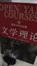 耶鲁大学公开课：文学理论 实拍图