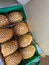 佳沛（zespri）新西兰阳光金奇异果10粒巨大果单果146-175g 猕猴桃水果礼盒 实拍图