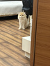 贝思奈沙发防猫抓保护贴猫抓板贴墙可裁剪修补布艺皮家具保护套猫爪贴 实拍图
