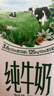 QQ星原生DHA纯牛奶125ml*28盒【周深同款QQ星】 实拍图