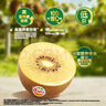 佳沛（zespri）新西兰阳光金奇异果10粒巨大果单果146-175g 猕猴桃水果礼盒 实拍图
