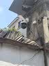 TCL监控摄像头无线需连接wifi终身免流量家用360度无死角带夜视全景农村室户外看护防水高清手机远程 【WiFi升级版】广角三画面+店长推荐 摄像机+7天循环录像卡 实拍图