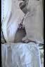 斯凯奇（Skechers）女款夏季软底运动跑步鞋舒适外穿网面休闲鞋健步鞋 实拍图