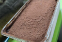 鲜京采提拉米苏风味蛋糕450g/盒 动物奶油 实拍图