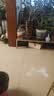 九号儿童电动滑板车C2go 6-10岁男女童多功能电助力童车玩具滑步车 C2go牛油果绿【新品首发】 实拍图