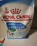 皇家狗粮 幼犬狗粮 宠物 小型犬 MIJ31 全价犬粮 2-10月 2KG 实拍图