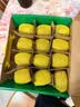 佳沛（zespri）新西兰 阳光金奇异果12粒特大果单果124-146g 猕猴桃水果礼盒 实拍图