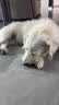 冠能狗粮成犬小型犬狗粮7kg 挑食美毛亮眼 全价狗粮  实拍图