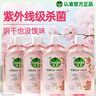 滴露（Dettol）香氛自然衣物消毒液1L*4  留香48H洗衣除汗臭 儿童玩具杀菌消毒水 实拍图