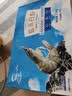 GUO LIAN国联盐冻大虾净重3斤75-90只 50/60 南美白对虾生鲜海鲜 实拍图