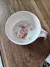 五和（WUHE）辅食碗儿童餐具宝宝吃饭碗卡通带手柄婴幼儿碗耐树脂食品级防烫 兔子单柄碗300ML 实拍图