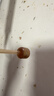 世喜奶嘴配件 重力球硅胶吸管14cm（搭配原装世喜奶瓶/学饮杯使用） 实拍图