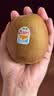 佳沛（zespri）新西兰阳光金奇异果10粒巨大果单果146-175g 猕猴桃水果礼盒 实拍图