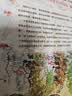 小黑鱼和他的朋友们全14册套装 田鼠阿佛作者李欧李奥尼 凯迪克大奖绘本经典 百班千人 动物寓言3-6岁爱心树童书    实拍图