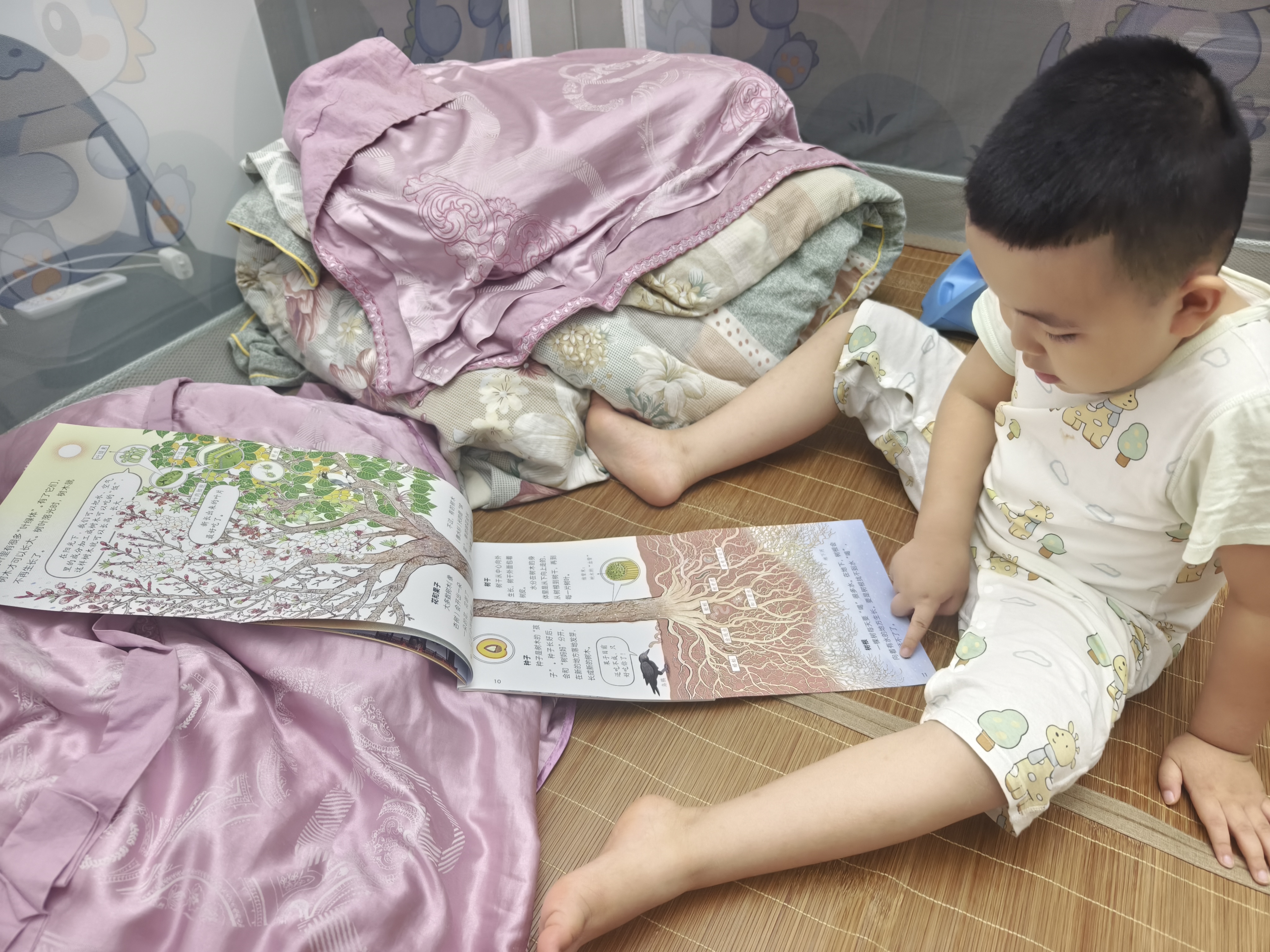 小羊上山分级阅读第1234567级全套儿童绘本3-6岁幼儿园推荐0-3岁宝宝睡前故事书启蒙早教图书小班学前识字语言汉语读物 【分级阅读】小羊上山第6级 全10册 实拍图