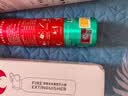 准航车载灭火器水基家用小型汽轿车商2026新国标便携式国家消防3c认证 实拍图