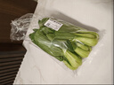 上海青约500g(油菜) 实拍图