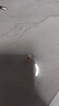 黛米S925银无核馒头圆5-6mm淡水珍珠耳钉七夕礼物送女友老婆 实拍图