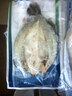 仙泉湖三去尖吻海鲈鱼1斤单条冷冻净膛金目鲈肉厚海鲜水产生鲜食材 实拍图
