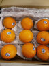  新奇士Sunkist 澳大利亚进口脐橙 橙子 一级钻石大果 2kg礼盒装 单果重180g+ 水果礼盒 晒单实拍图
