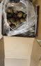 京鲜生广西荔浦马蹄 2.4斤装  广西特产 精美礼盒 脆甜可口 新鲜荸荠 实拍图