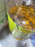 金龙鱼 食用油 非转基因 物理压榨不油腻轻年玉米油4L 实拍图