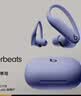 beats Powerbeats Pro 2 完全无线高性能耳机 【开学礼物】真无线运动耳机 适用苹果安卓耳机  跃动紫 实拍图