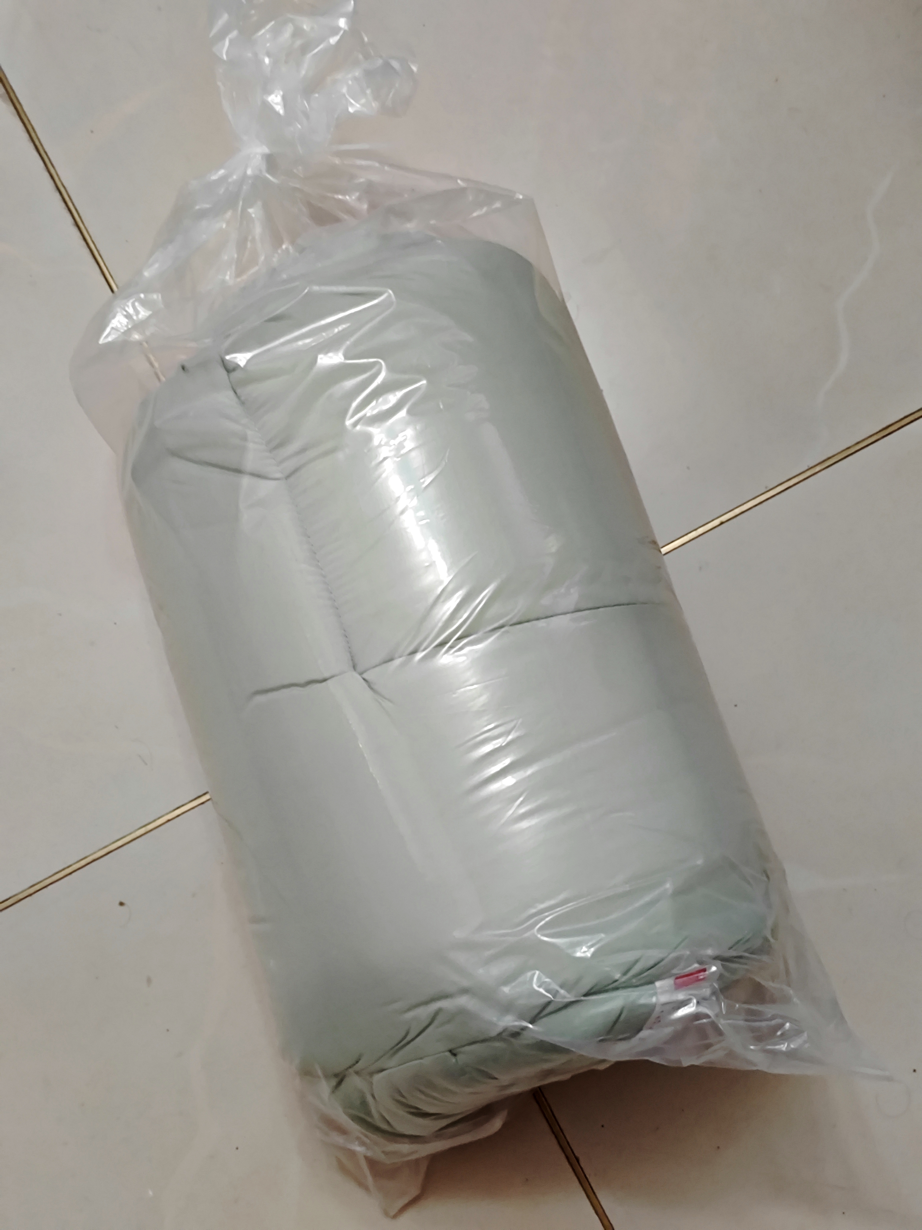 京东京造抗菌云感棉花床垫床褥子加厚防螨可折叠宿舍1.2×2米豆绿色 实拍图