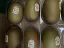 佳沛（zespri）新西兰 阳光金奇异果12粒特大果单果124-146g 猕猴桃水果礼盒 实拍图