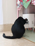 皇家猫粮 室内成猫粮 I27 通用粮 12月以上 4.5KG 实拍图