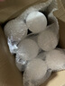 【原研进口】安素 肠内营养粉剂(TP) 400g/盒 6盒装 实拍图