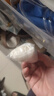 Freego纯棉一次性内裤女士全棉灭菌免洗孕妇生理期旅行出差白XL5条装 实拍图