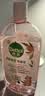 滴露（Dettol）衣物消毒液自然香氛洗衣除菌液 除螨除异味去汗臭48h留香1000ml*1 实拍图