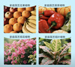 德沃多羊粪发酵有机肥原料颗粒5KG园艺肥料腐熟羊粪蛋种菜肥 实拍图