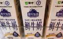 蒙牛（MENGNIU）现代牧场鲜牛奶1500ml巴氏杀菌桶装鲜牛奶 实拍图