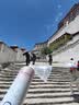 维德（WELLDAY）氧气瓶便携式供氧器孕妇老人吸氧机高原旅游氧气罐1000ml*4瓶 实拍图