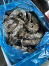 鲜京采 鲜冻大号黑虎虾 去冰净重2斤 31-40只/盒 斑节对虾美食大赛同款 实拍图