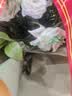 京东鲜花21朵玫瑰永生花乌梅子酱香皂花教师节礼物送老师女友生日礼物女士 实拍图