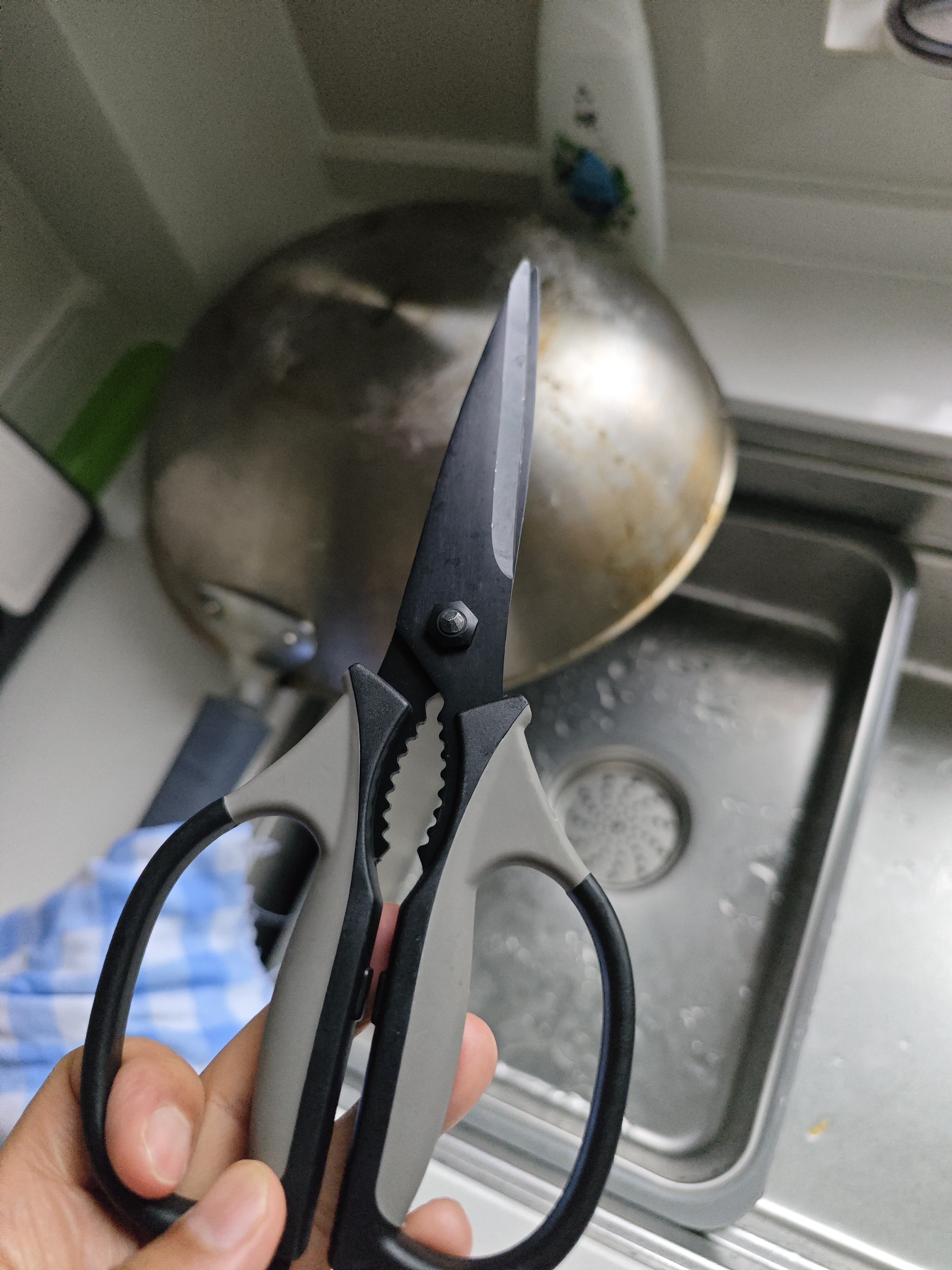 张小泉镀钛防锈不锈钢多功能剪刀夹核桃剪肉剪蔬菜烤肉剪防锈辅食剪刀 实拍图